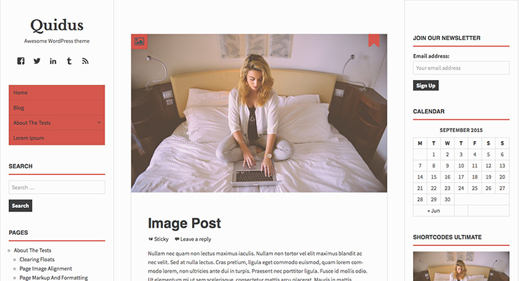 Quidus Awesome WordPress Theme